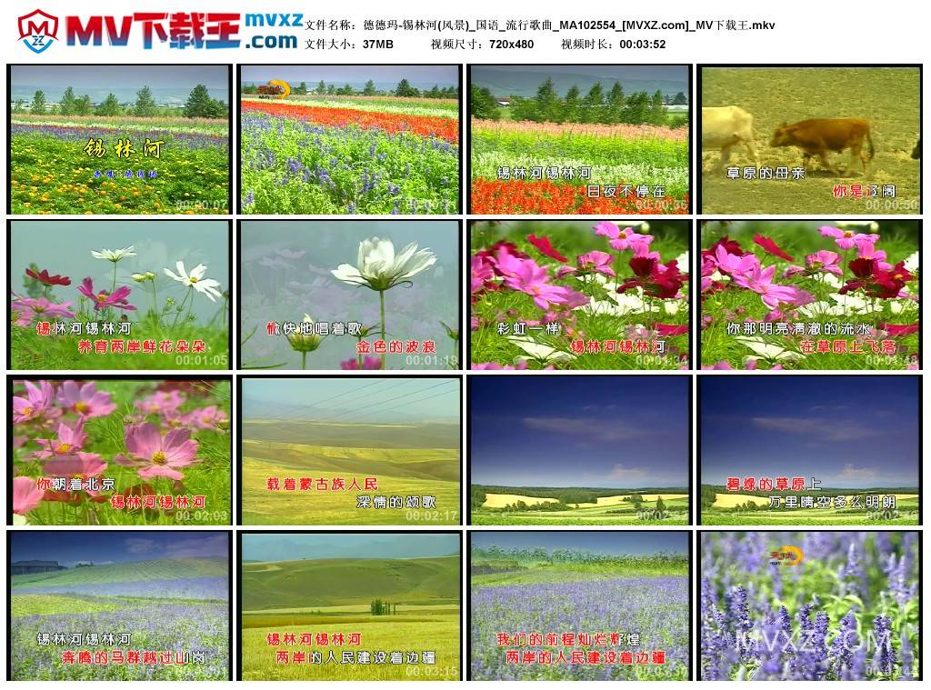 德德玛-锡林河(风景)_国语_流行歌曲_MA102554